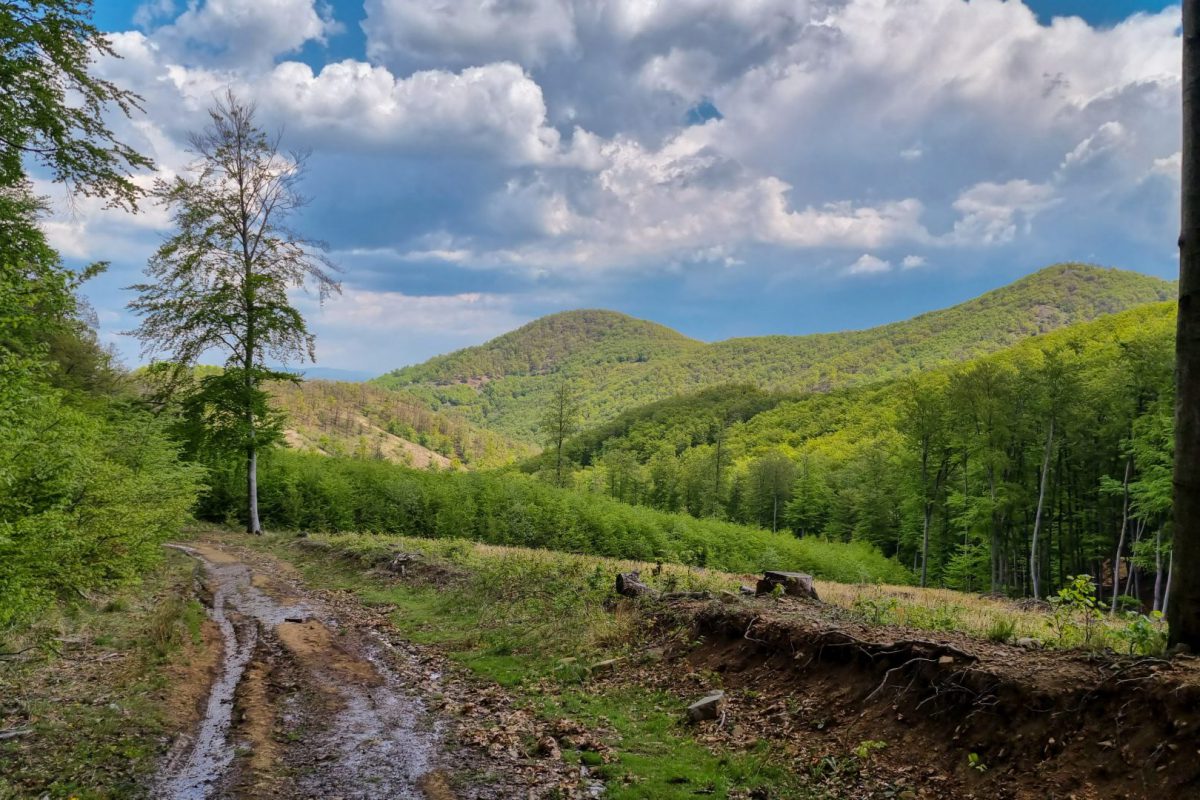 Hosszú-bérc szakasz 08